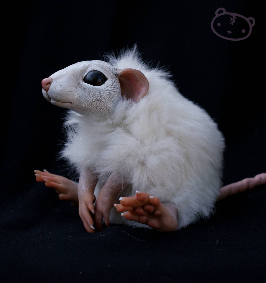 Pancake the rat - commission by LisaToms
