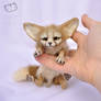 Little fennec fox (size comparison)