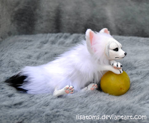 White fennec fox