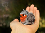 Robin pygmy griffin