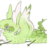 mimin adopt !!! : kiwi seeds