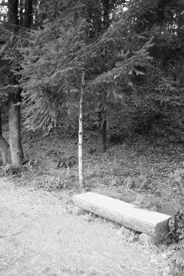 forgotten bench by julesphoto on DeviantArt