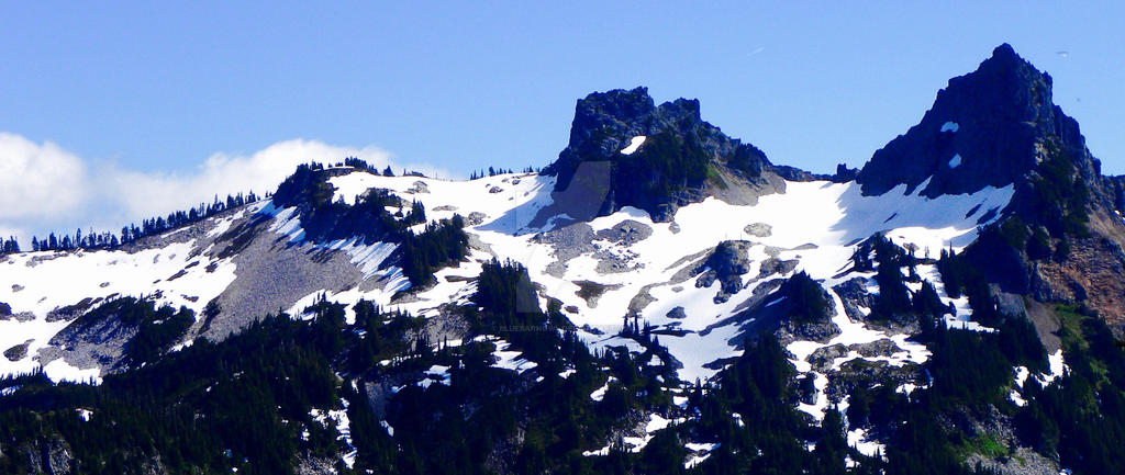 Long View of Mt. Rainer