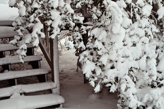 Snowy Porch