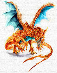 Orange Dragon