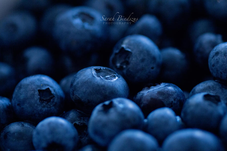 Blueberries. by Blueberryblack