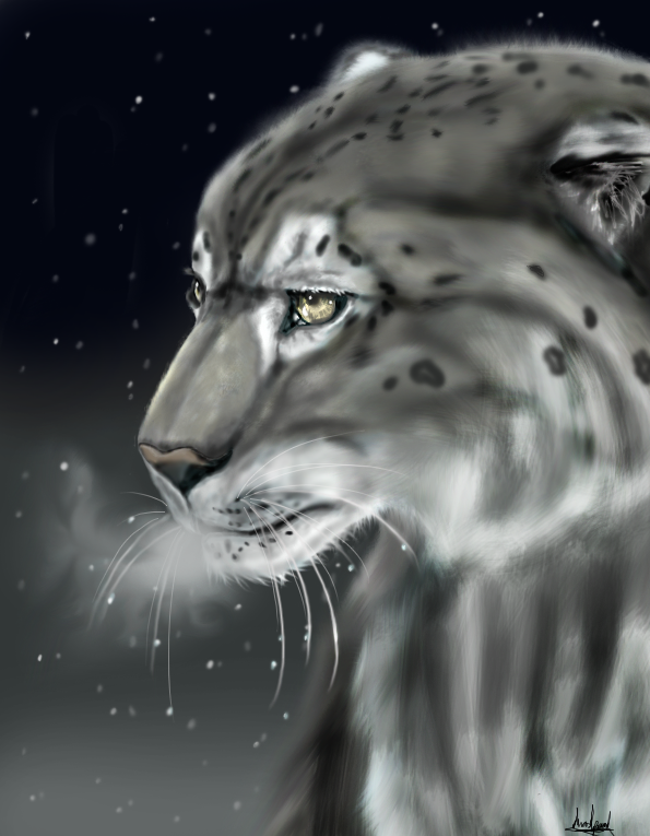 The Snow Leopard