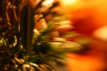 PhotoHunt: Blur