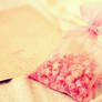 bag of wishes.