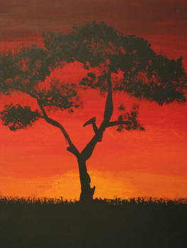 Acacia Tree in Sunset