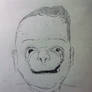 a copy