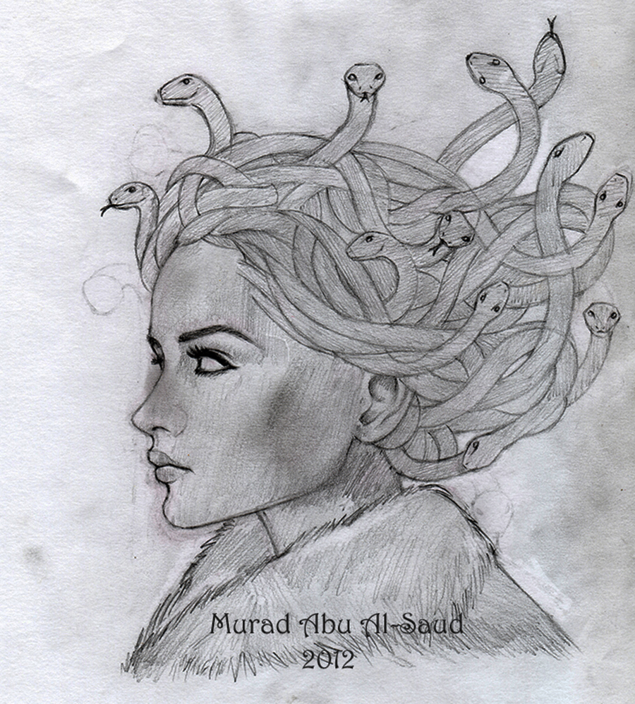 A sketch of Medusa