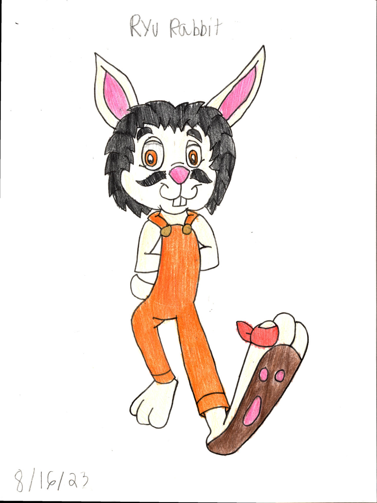 The Rabbit Rourou Ryu Rabbit by TonyYorkieSilky1991 on DeviantArt