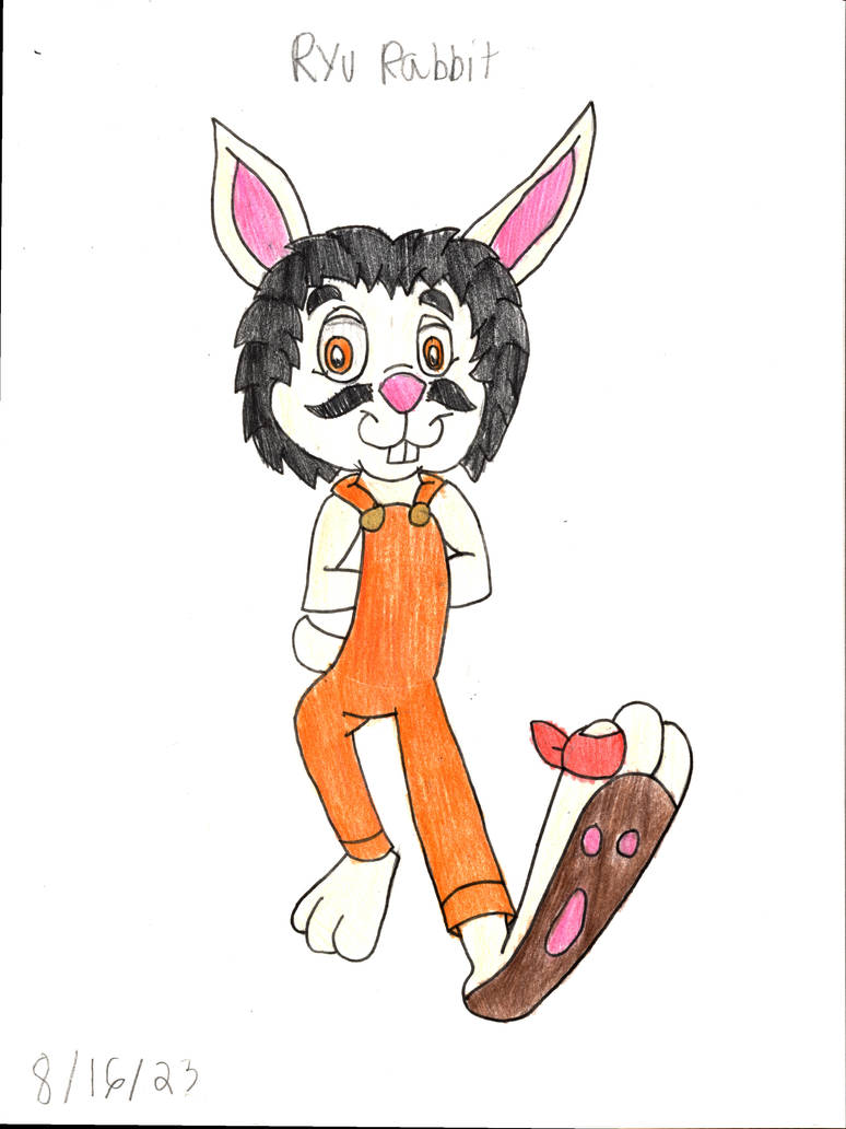 Ryu Rabbit by TonyYorkieSilky1991 on DeviantArt