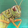 The hopper of grass