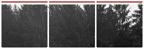 Dark Forest Divider by HamsquadTrash on DeviantArt
