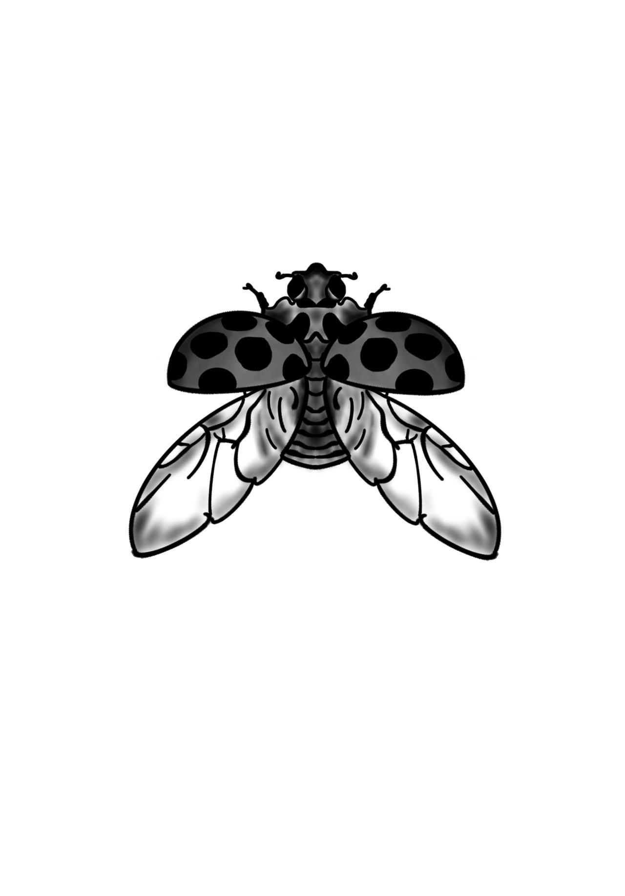 Ladybug Tattoo by on DeviantArt
