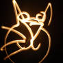 Light Painting cat