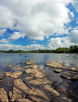 Harvey's Point