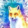 Color Splash Fox