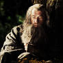 Gandalf the Grey - The Hobbit