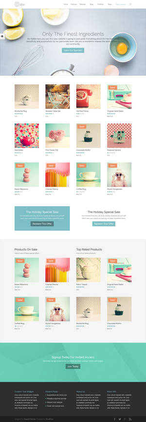 Divi Universal Ecommerce Theme