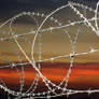 Razor wire