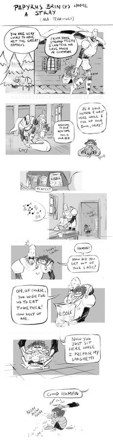 Papyrus brings home a stray