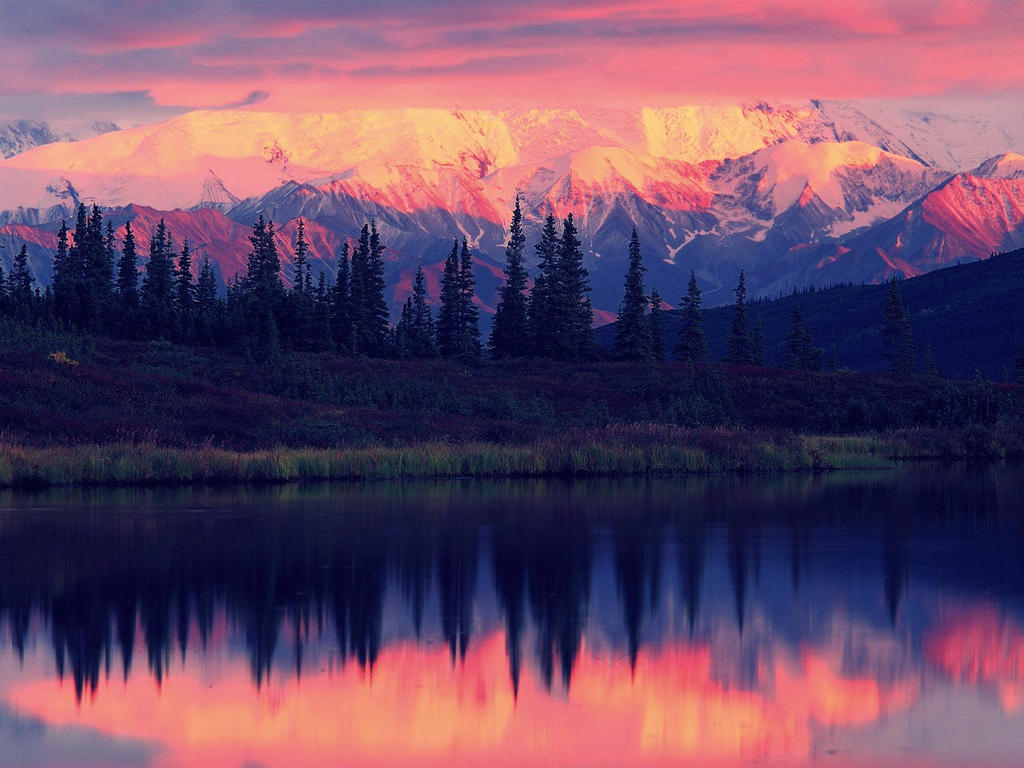 Природа обновилась. Национальный парк Денали Аляска. Национальный парк Денали Аляска Дикая природа. Аляска красота природа Аляски. Национальный парк Денали, штат Аляска.