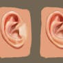Ears Pracice