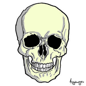 Skull D: