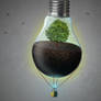 Life in a bulb #3