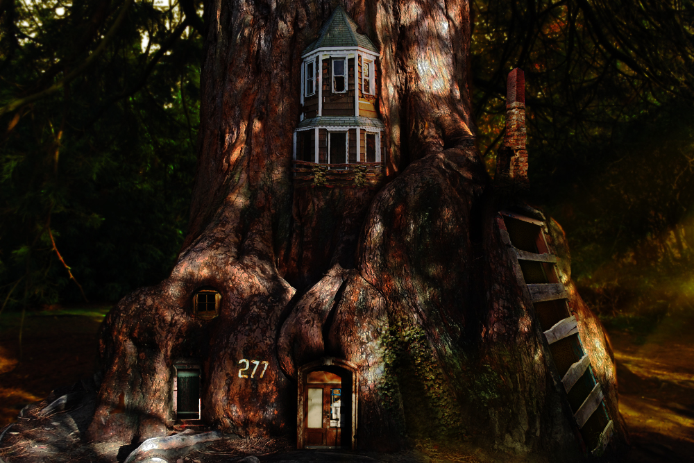 Treehouse