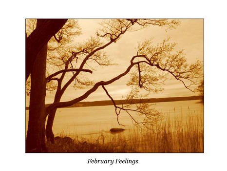February Feelings