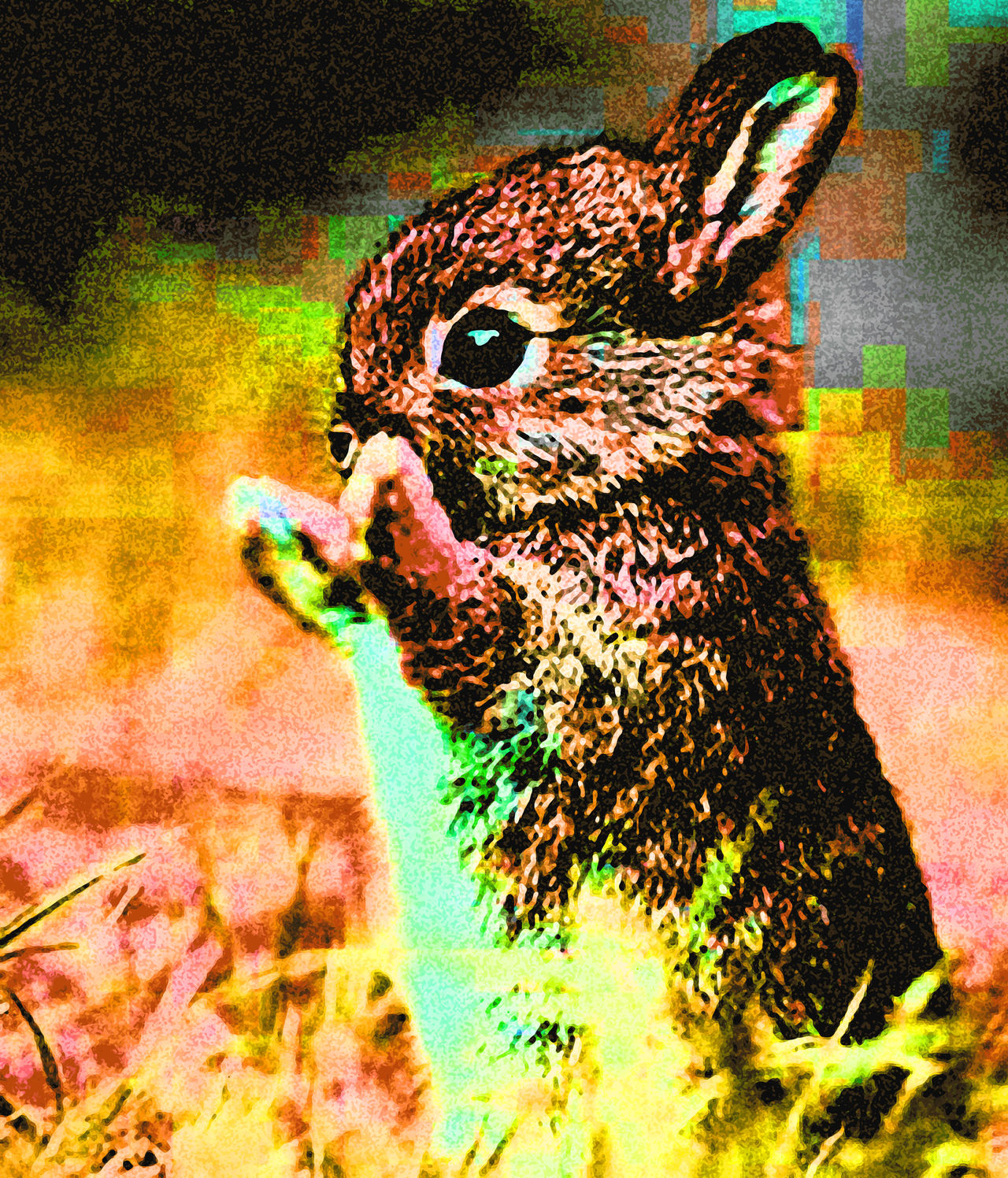 Cute Bunny Through Color Spectrum by mbennette68 on DeviantArt