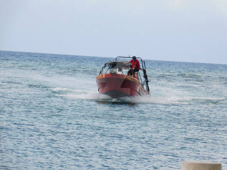 Return of the snorkelers