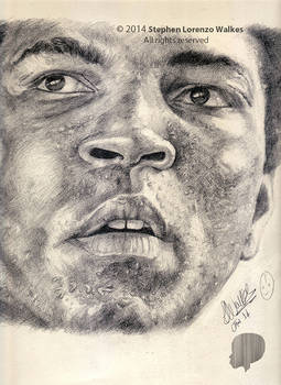 Muhammad Ali By Stephen Lorenzo Walkes