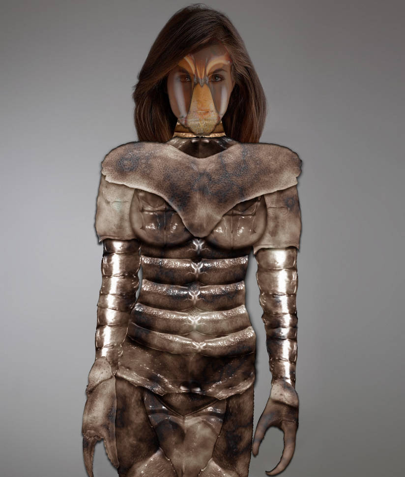 Insectoid Outfits Insectoid Exo-suit by l337shadow24 on DeviantArt
