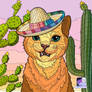 Sombrero Cat