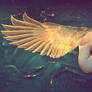 Sleep Well My Angel