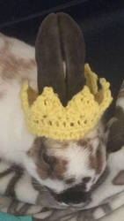 Bunny Crown