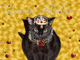 Queen Sheba