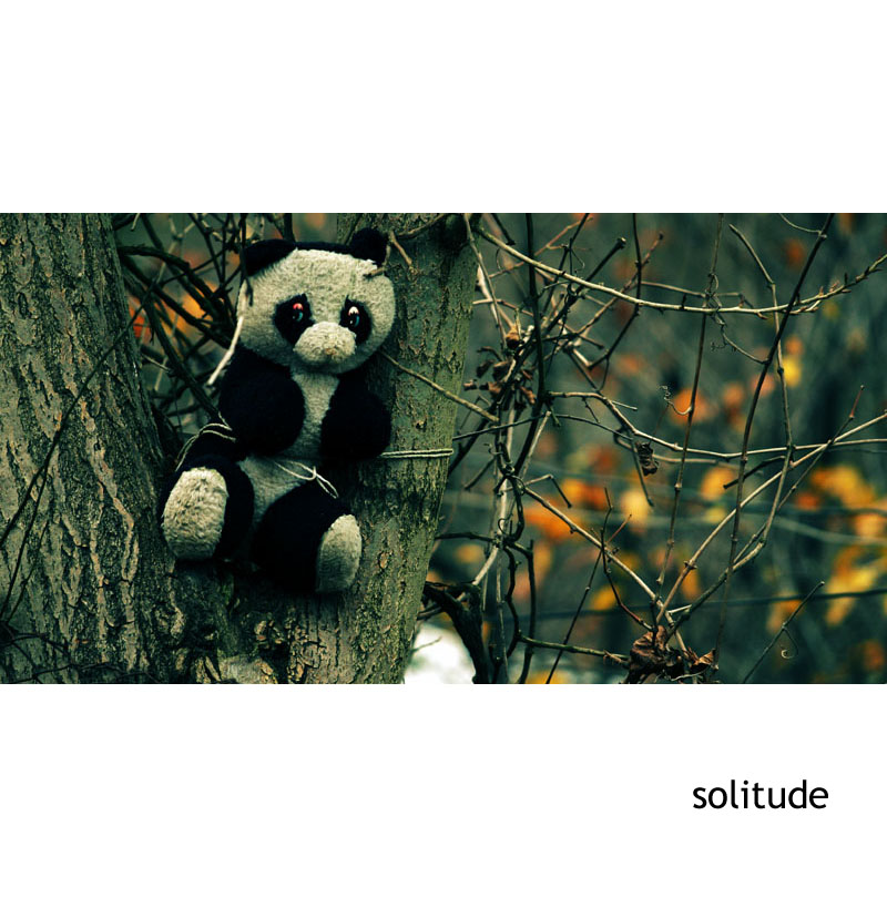 solitude