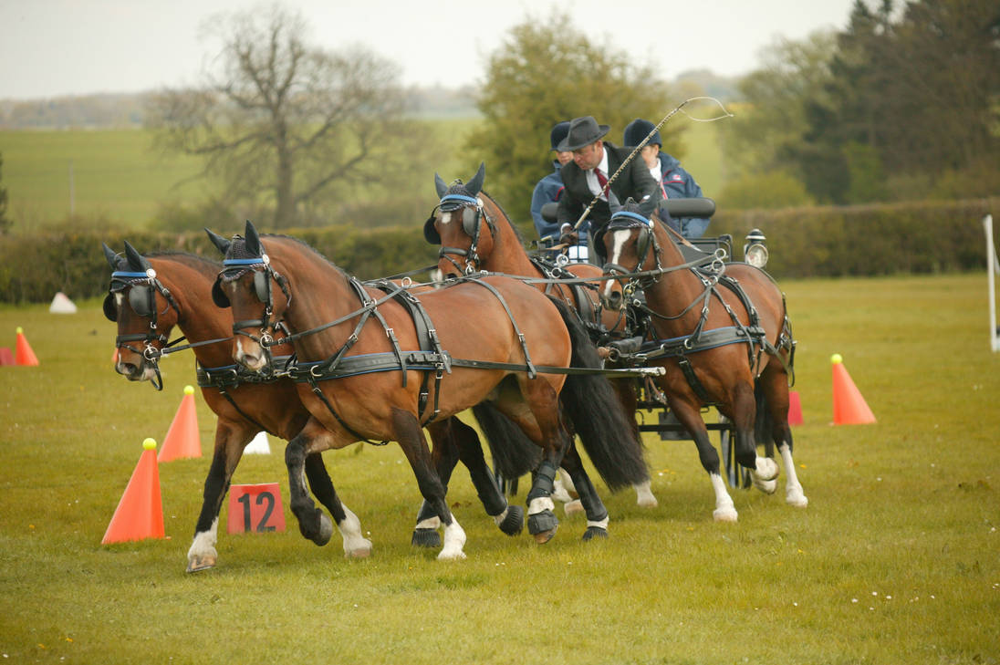 Driving horse