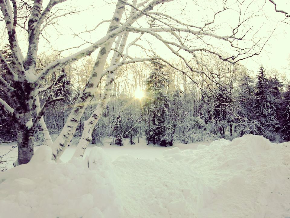 Maine winter wonderland photo #01