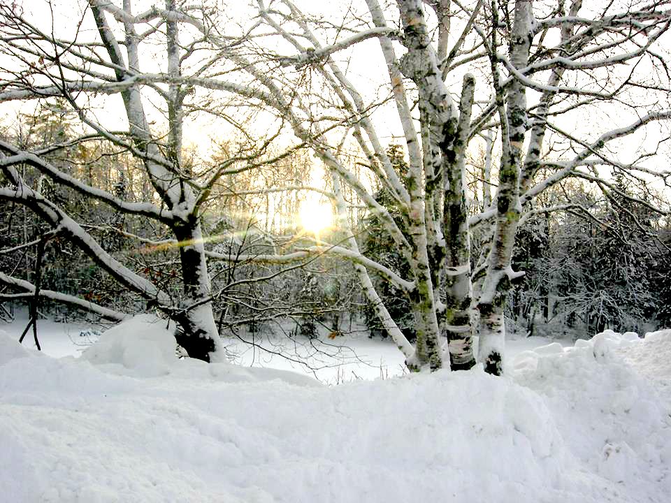 Maine winter wonderland photo #04