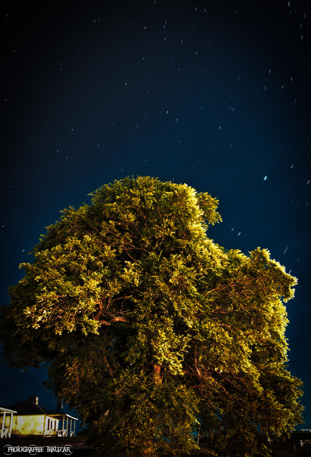 Arbre Nuit HDR surrealistic