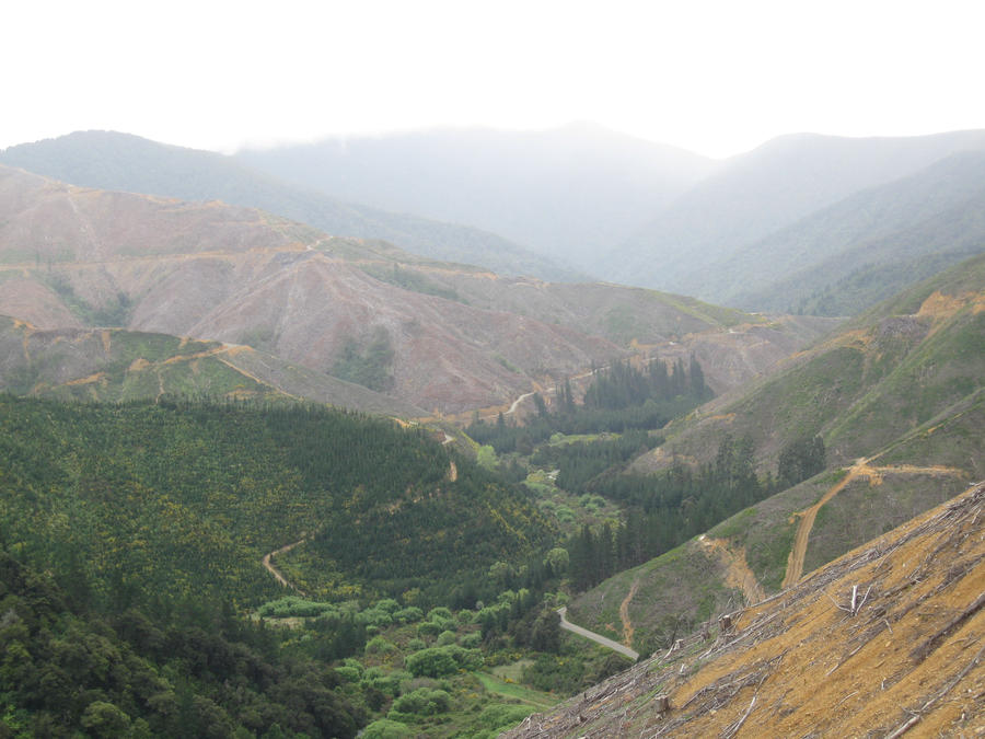 Pukaka Valley