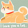 Shibe love