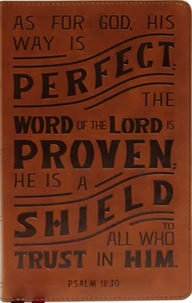 Psalm 18 30 By Crossmaximus On DeviantArt matthew-10-14-and-if-anyone-will-not-welcome-you-or-heed-your-words